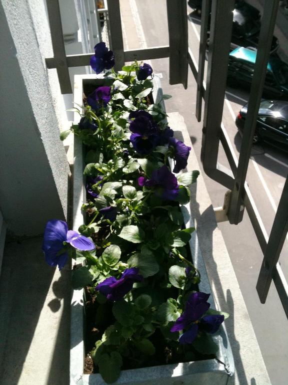 The Pea Blossom B&B Copenhague Exterior foto
